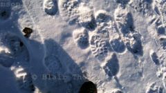 Hill-walking up through frozen moon snow, Ben Vrackie Scotland