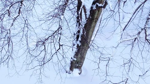 moon cloud – secluded within snow